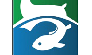 Fishing & Hunting TV Channel Live